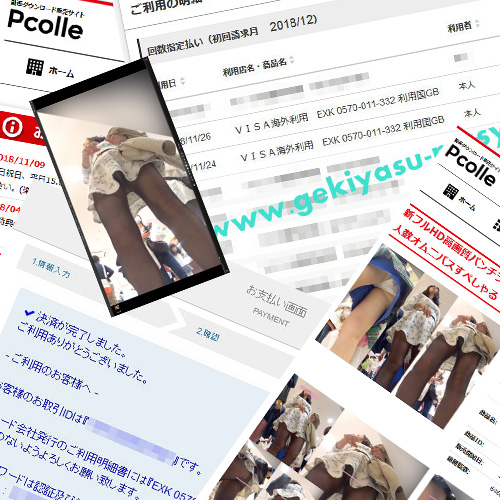 Pcolle入会体験レポート